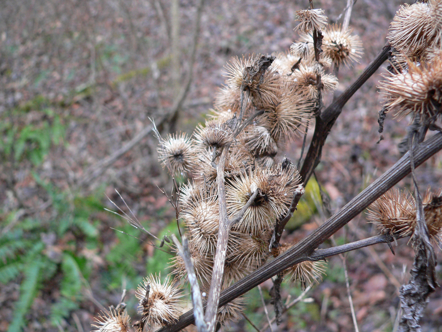 Inspiring natural textures || 2lch