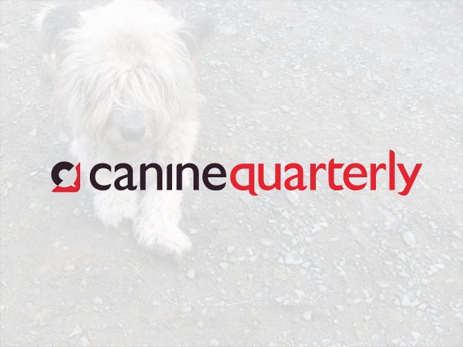 Canine Quarterly identity || 2lch