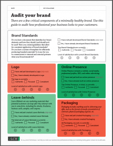creating-a-professional-business-brand-audit-logo-website-packaging-2LCH